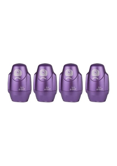 Sılgılı Kalemtıras Metalık Mor 4lu Set
