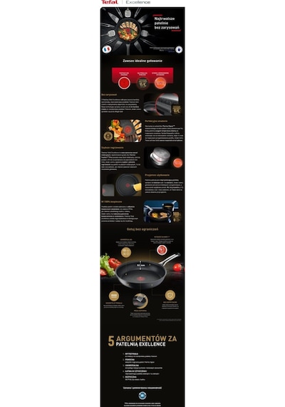Tefal Titanyum 6X Excellence İndüksiyon Tabanlı Tava - 24 CM