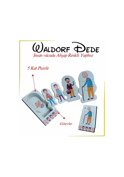 Waldorf Dede İnsan Vücudu Ahşap Renkli Yapboz Yaşam Döngüsü