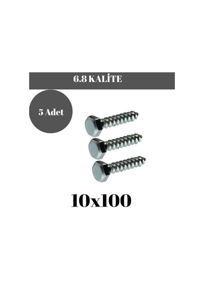 Trifon Vida 10x100 Mm Altı Köşe Anahtar Başlı Vida 5'li Paket 10 x 100 MM
