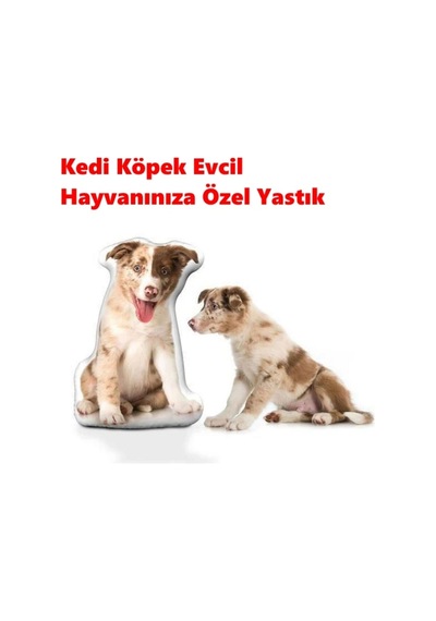 Kişiye Özel Kedi Köpek Evcil Hayvanınıza Özel Yastık Çok Renkli