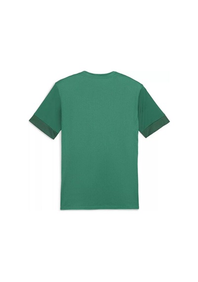 Puma Teamgoal Matchday Jersey Erkek Futbol Antrenman Tişörtü 70574705 Renkli Renkli Çok Renkli