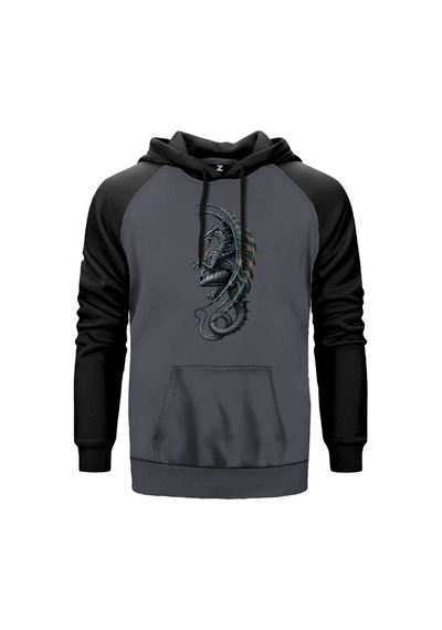 Kadim Ejderha Gri Renk Reglan Kol Sweatshirt