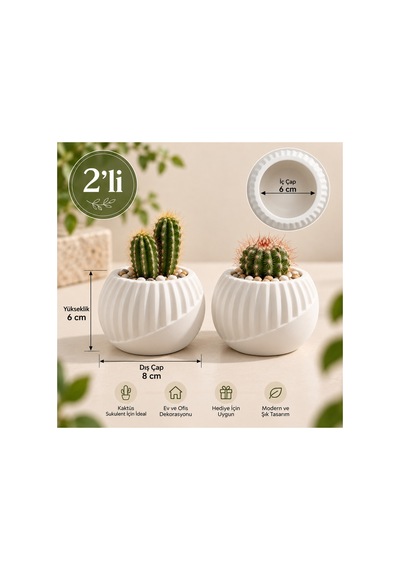 2 Li Kaktüs Saksısı Beyaz Dekoratif Mini Saksı Sukulent Ve Kaktüs Saksısı 8 Cm Beyaz - 921521534 Beyaz - 921521534