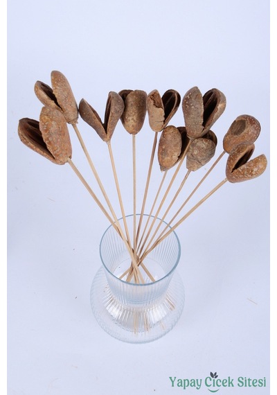 Yapay Çiçek Sitesi Kuru Çiçek Bell Cup Meyve 30 Cm 10lu Naturel