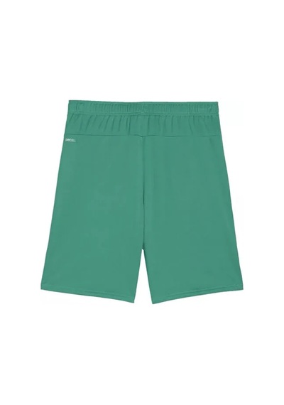 Puma Teamgoal Shorts Erkek Futbol Antrenman Şortu 70575205 Yeşil Yeşil