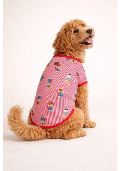Alphadog Teddy Küçük Irk Köpek T-shirtü