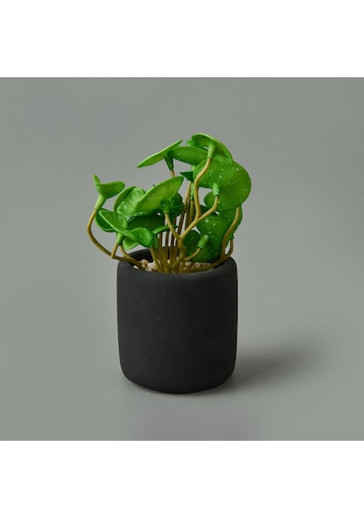 Mini Pot Soft Yaprak Saksılı Çiçek - Asorti - 8x6x6 Cm Çok Renkli