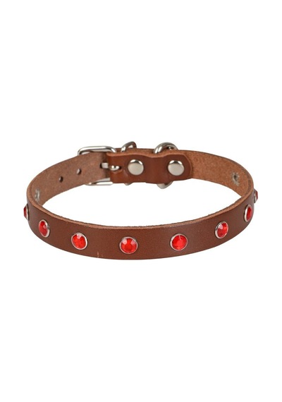 Cattie Taşlı Deri Kedi Boyun Tasması L 1.2x25-29CM Kahverengi