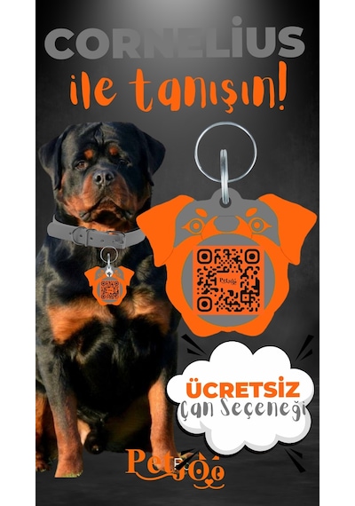 Petjoo 20.Cornelius Turuncu-Gri Qr'lı Köpek Künyesi