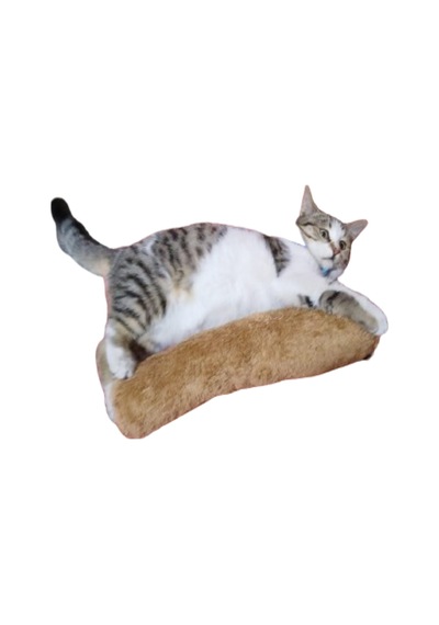 Tineke Kedi Otlu Sarılma Yastığı Uyku Oyuncağı 30 CM