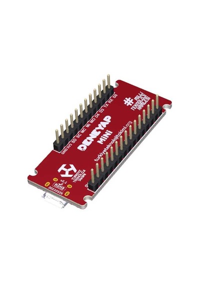 Deneyap Mini