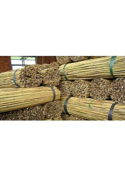 Bambu Bitki Destek Çubuğu 75 Cm 20 Adet