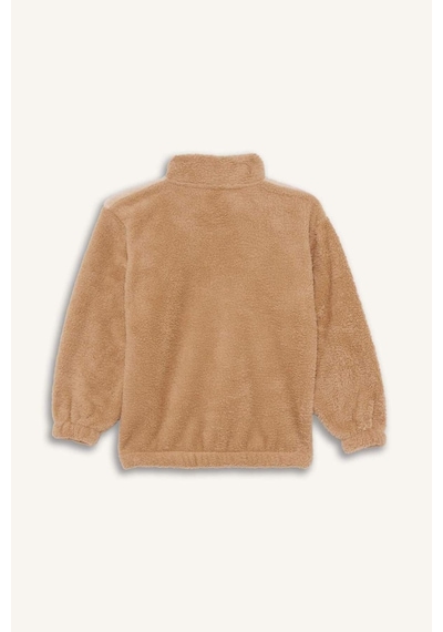 Defacto Erkek Çocuk Fermuarlı Yaka Nakışlı Pelüş Sweatshirt G2946a825wnbg360 Bej