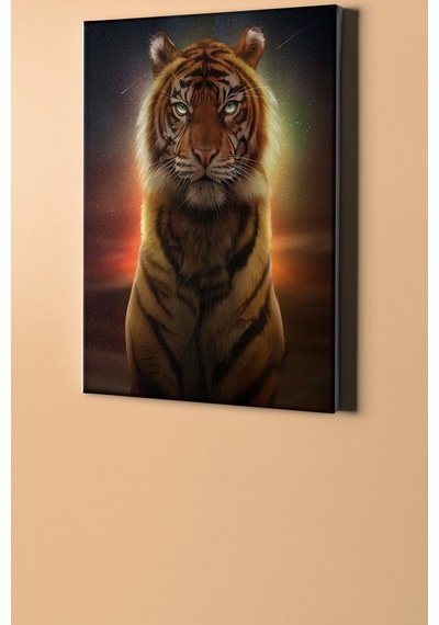 Webstyle Sayılarla Boyama Seti Kasnaklı Kaplan Ve Gece 60 X 75 Cm