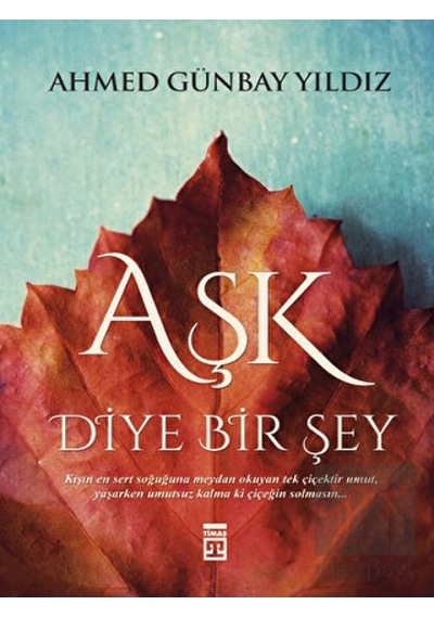 Timaş Yayınları - Aşk Diye Bir Şey