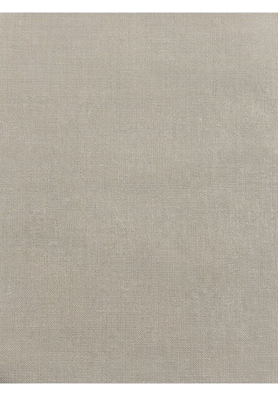 Long Crop Kadın Gömlek U.kol Light Beige