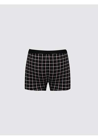 Ltb Boxer (547239877)