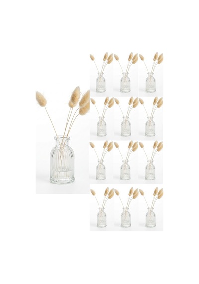 12 Adet Çizgili Mini Vazo 7,5 Cm Kahve Yanı Küçük Dekoratif Vazo 35 Ml Şeffaf