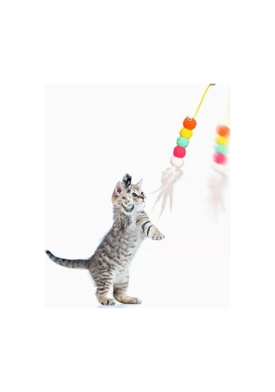 Elastik Kendinden Yapışkanlı Solucan Kedi Oltası 5570