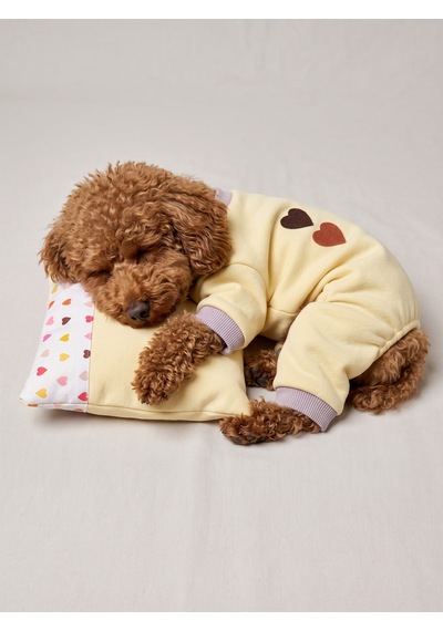 Winter Hearts Köpek Uyku Takımı Pamuklu Penye Köpek Tulumu Ve Mini Yastık Küçük Irklar İçin Tüy Dökülmesini Azaltır