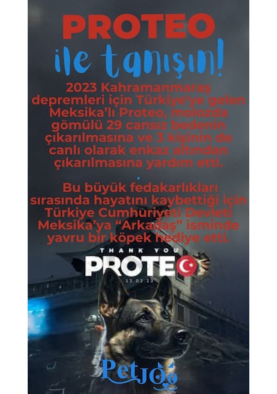 Petjoo 24.Proteo Mavi-Kırmızı Qr'lı Köpek Künyesi