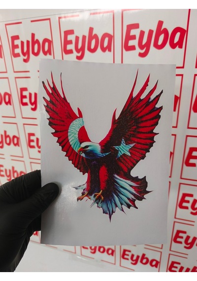 Türk Bayrağı Kartal Araba Karavan Renkli Baskı Baskes Sticker 20x15 Cm