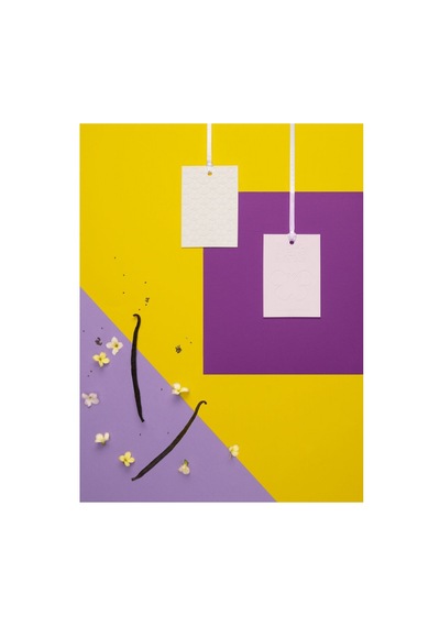 Marta La Farfalla Card Vanılla & Gırger – Vanilya & Zencefil Asma