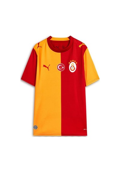 Puma Galatasaray 26/27 Çocuk İç Saha Parçalı Forma Çok Renkli