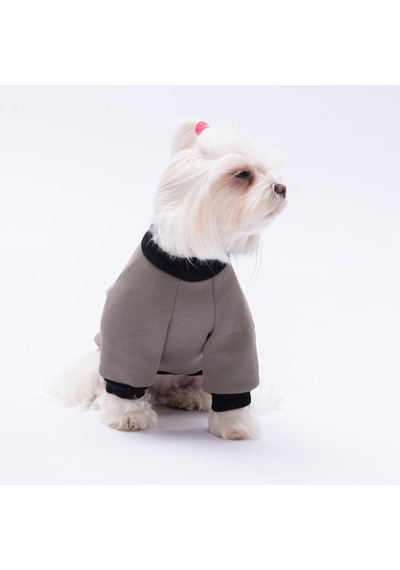 Füme Loviisa Sweat Kedi Köpek Sweat- Kedi Köpek Kıyafeti