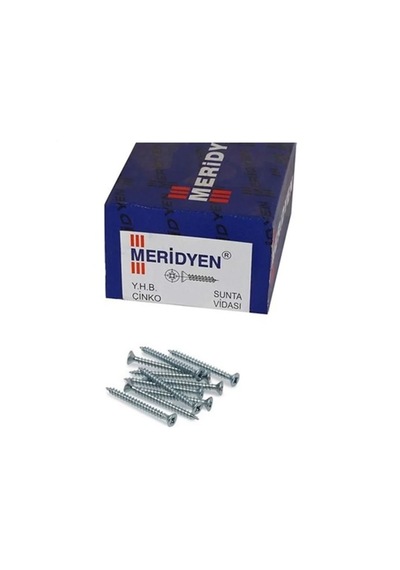 Meridyen Sunta Vidası 3.0x16 Mm Diğer