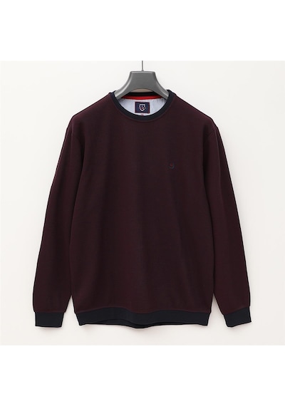 Dio Rise Erkek Uzun Kol İnce Sweatshirt - Czt-130 - Bordo - Lacivert Bordo - Lacivert