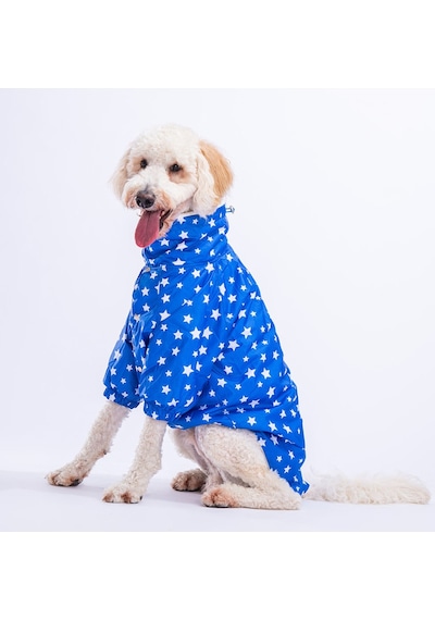 Pawstar Mavi Stars Orta ve Büyük Irk Köpek Montu Yağmurluğu