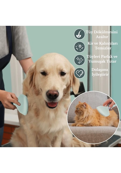 8 Parça Evcil Hayvan Tarak Makas Seti Kedi Ve Köpek Bakım Makası Banyo Fırçası Su Kasesi