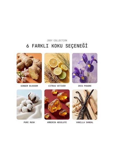 Jooy Araba Klima Kokusu 3'lü Set Gınger Blossom