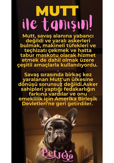 Petjoo 10.Mutt Pembe-Sarı Qr'lı Köpek Künyesi