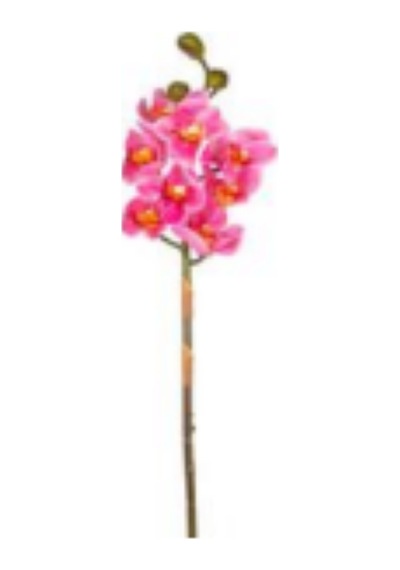 Yapay Çiçek Orkide Gerçek Dokulu Pembe 75 Cm. Çok Renkli