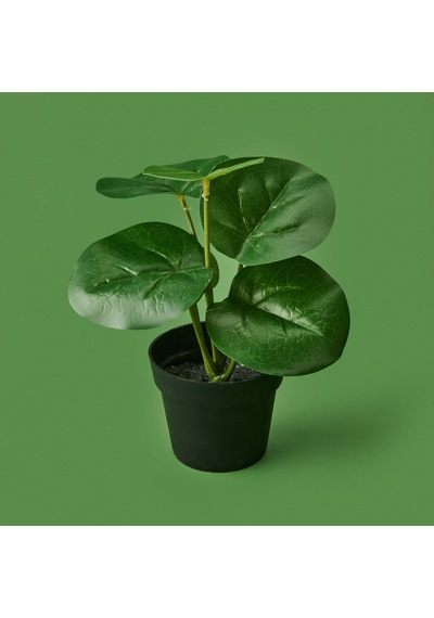 Botta Çiçek - Asorti - 24 Cm Çok Renkli