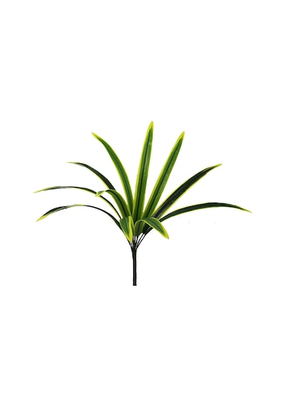 Yapay Bitki Drasena Dracena Demet Sarı Yeşil 50 Cm