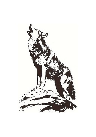 Tepedeki Bozkurt Duvar Dekor Sticker 40 X 60 Cm