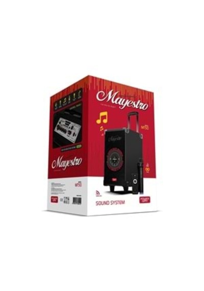 Powerway Mt50 Şarjlı Mikrofonlu Hoparlör Karaoke Sistemi Taşınabilir Amfi Büyük Bluetooth Hoparlör