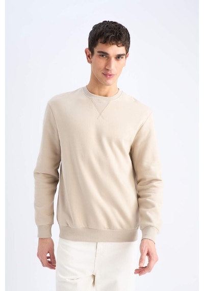 DeFacto Regular Fit Bisiklet Yaka Kalın Basic Düz Sweatshirt T3777AZ25SPBG735