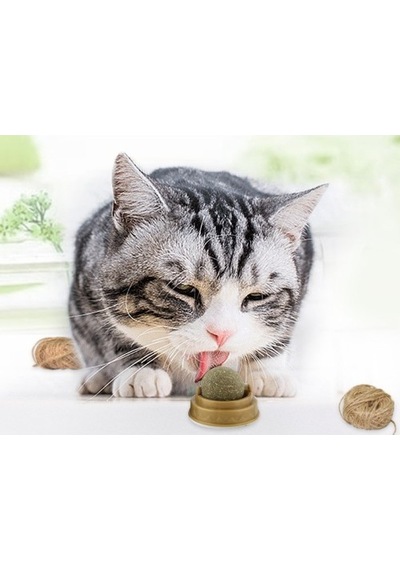 Zensaas41 Kedi Otu Oyun Topu Cat Mint Zensaa56