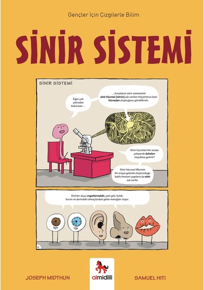 Sinir Sistemi - Gençler İçin Çizgilerle Bilim Almidilli Yayınları