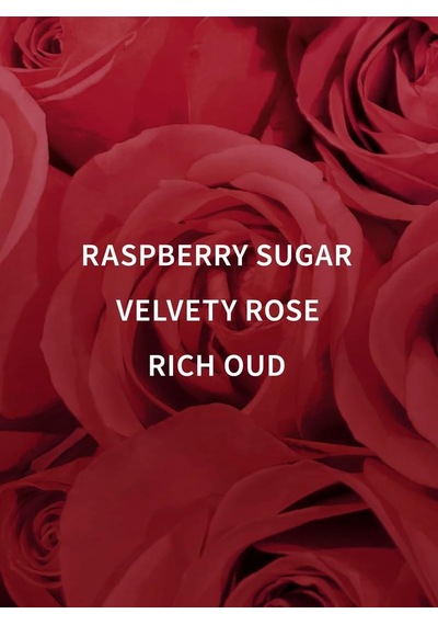 Dark Velvet Oud Duş Jeli Diğer