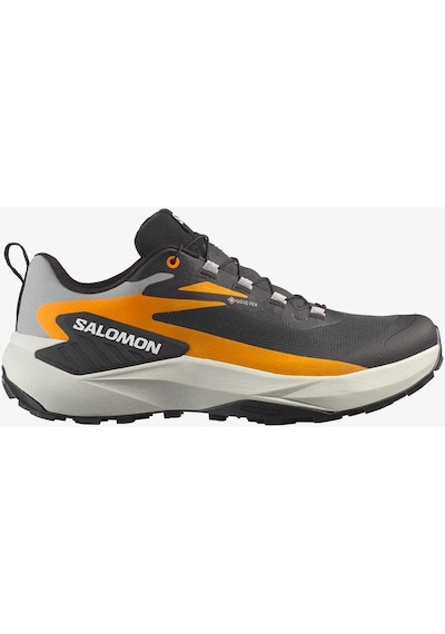 Salomon Genesıs Gore-tex Erkek Koşu Ayakkabısı Black L47976200-10534 Çok Renkli