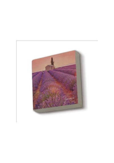 Fransa Görseli Baskılı Taş Magnet 5x5
