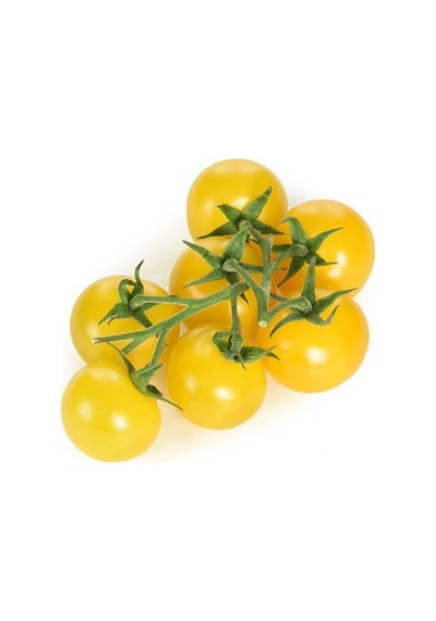 Cherry Saksılık Sarı Domates Tohumu 5 Tohum + Tohu