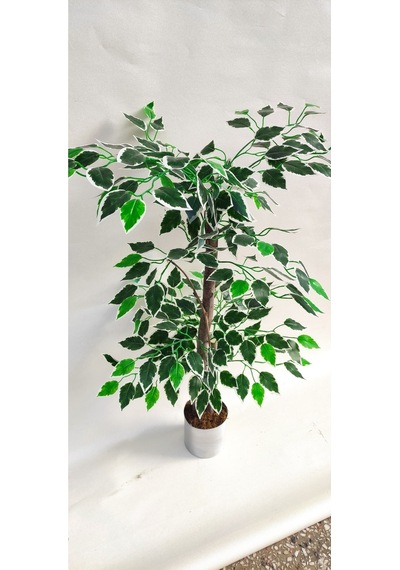 Rüzgar Yapay Çiçekçilik 90 Cm Ficus Ağacı Yeşil