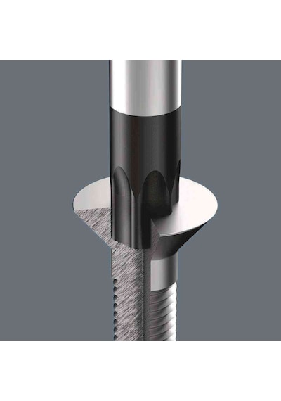Wera 3676 Torx Tornavida Plus Set 05028062001